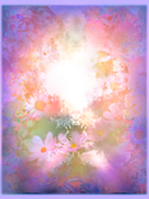 flower004.psd