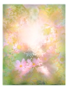 flower005.psd
