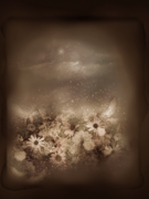 flower011.psd