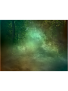forest002.psd