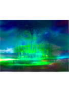 forest004.psd