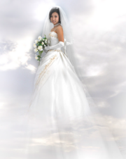 wedding_main.psd